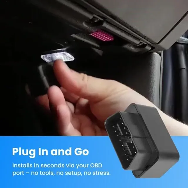 imgi_30_7edd8250d25e6446145f710ef8aa9056